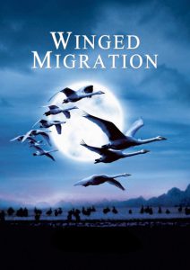ดูหนังออนไลน์ Winged Migration